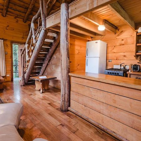 Huilo Huilo Cabanas Del Bosque Puerto Fuy Exteriér fotografie