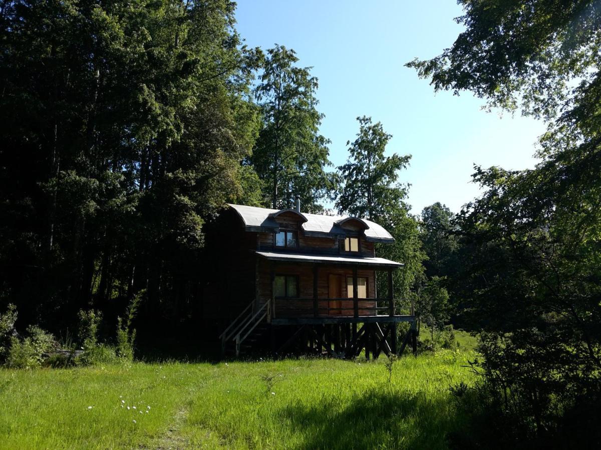 Huilo Huilo Cabanas Del Bosque Puerto Fuy Exteriér fotografie