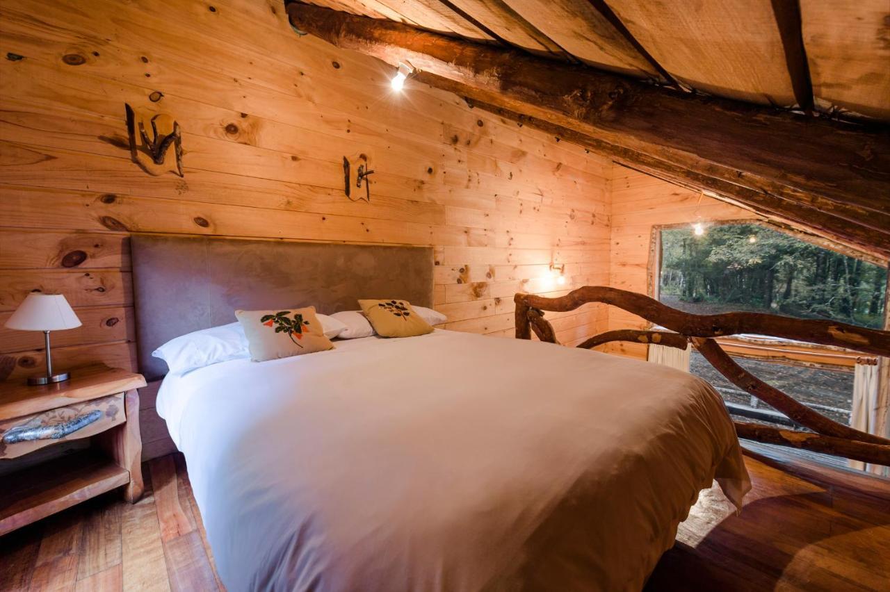 Huilo Huilo Cabanas Del Bosque Puerto Fuy Pokoj fotografie
